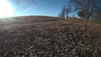 The field cam, Feb 2, 2024 at 7:00am