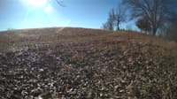 The field cam, Feb 2, 2024 at 8:15am