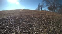 The field cam, Feb 2, 2024 at 8:17am