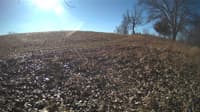 The field cam, Feb 2, 2024 at 8:25am