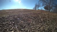 The field cam, Feb 2, 2024 at 8:52am