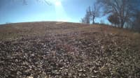 The field cam, Feb 2, 2024 at 9:26am