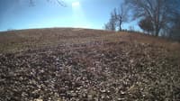The field cam, Feb 2, 2024 at 9:31am
