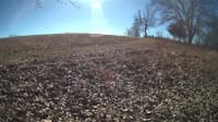 The field cam, Feb 2, 2024 at 9:40am