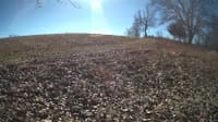 The field cam, Feb 2, 2024 at 9:40am