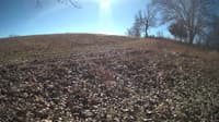 The field cam, Feb 2, 2024 at 10:00am