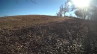 The field cam, Feb 2, 2024 at 12:00pm