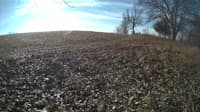 The field cam, Feb 4, 2024 at 8:19am