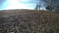The field cam, Feb 4, 2024 at 8:23am