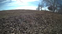 The field cam, Feb 4, 2024 at 9:25am