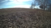 The field cam, Feb 4, 2024 at 9:26am