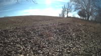 The field cam, Feb 4, 2024 at 10:01am