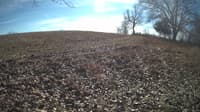 The field cam, Feb 4, 2024 at 10:10am