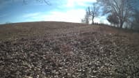 The field cam, Feb 4, 2024 at 10:17am