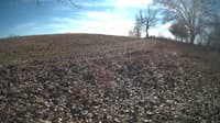 The field cam, Feb 4, 2024 at 10:39am