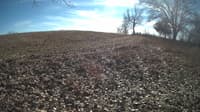 The field cam, Feb 4, 2024 at 10:41am