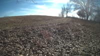 The field cam, Feb 4, 2024 at 10:45am