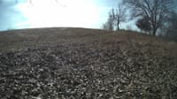 The field cam, Feb 5, 2024 at 8:45am
