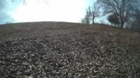 The field cam, Feb 5, 2024 at 9:08am