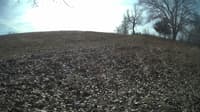 The field cam, Feb 5, 2024 at 9:19am