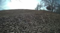 The field cam, Feb 5, 2024 at 9:20am