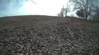 The field cam, Feb 5, 2024 at 10:13am