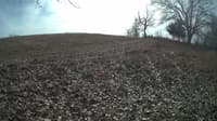 The field cam, Feb 5, 2024 at 10:23am