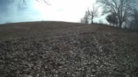 The field cam, Feb 5, 2024 at 10:27am