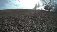 The field cam, Feb 5, 2024 at 10:51am