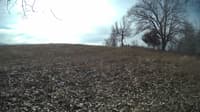 The field cam, Feb 6, 2024 at 9:00am