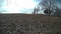 The field cam, Feb 6, 2024 at 9:03am