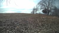 The field cam, Feb 6, 2024 at 9:08am