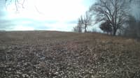 The field cam, Feb 6, 2024 at 9:09am