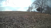 The field cam, Feb 6, 2024 at 9:10am