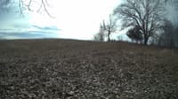 The field cam, Feb 6, 2024 at 9:48am