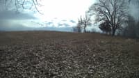 The field cam, Feb 7, 2024 at 9:32am