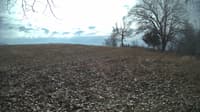 The field cam, Feb 7, 2024 at 9:37am
