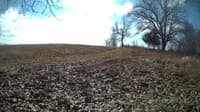 The field cam, Feb 8, 2024 at 9:46am