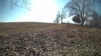 The field cam, Feb 8, 2024 at 9:59am
