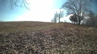 The field cam, Feb 8, 2024 at 10:02am