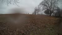 The field cam, Feb 8, 2024 at 3:19pm