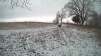 The field cam, Feb 9, 2024 at 5:18am