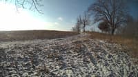 The field cam, Feb 11, 2024 at 7:10am