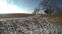 The field cam, Feb 11, 2024 at 7:17am