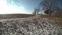 The field cam, Feb 11, 2024 at 7:22am