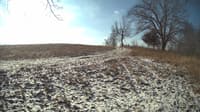 The field cam, Feb 11, 2024 at 8:09am