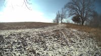 The field cam, Feb 11, 2024 at 8:18am