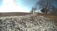 The field cam, Feb 11, 2024 at 8:19am