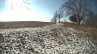 The field cam, Feb 11, 2024 at 8:26am