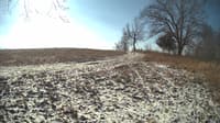 The field cam, Feb 11, 2024 at 8:30am